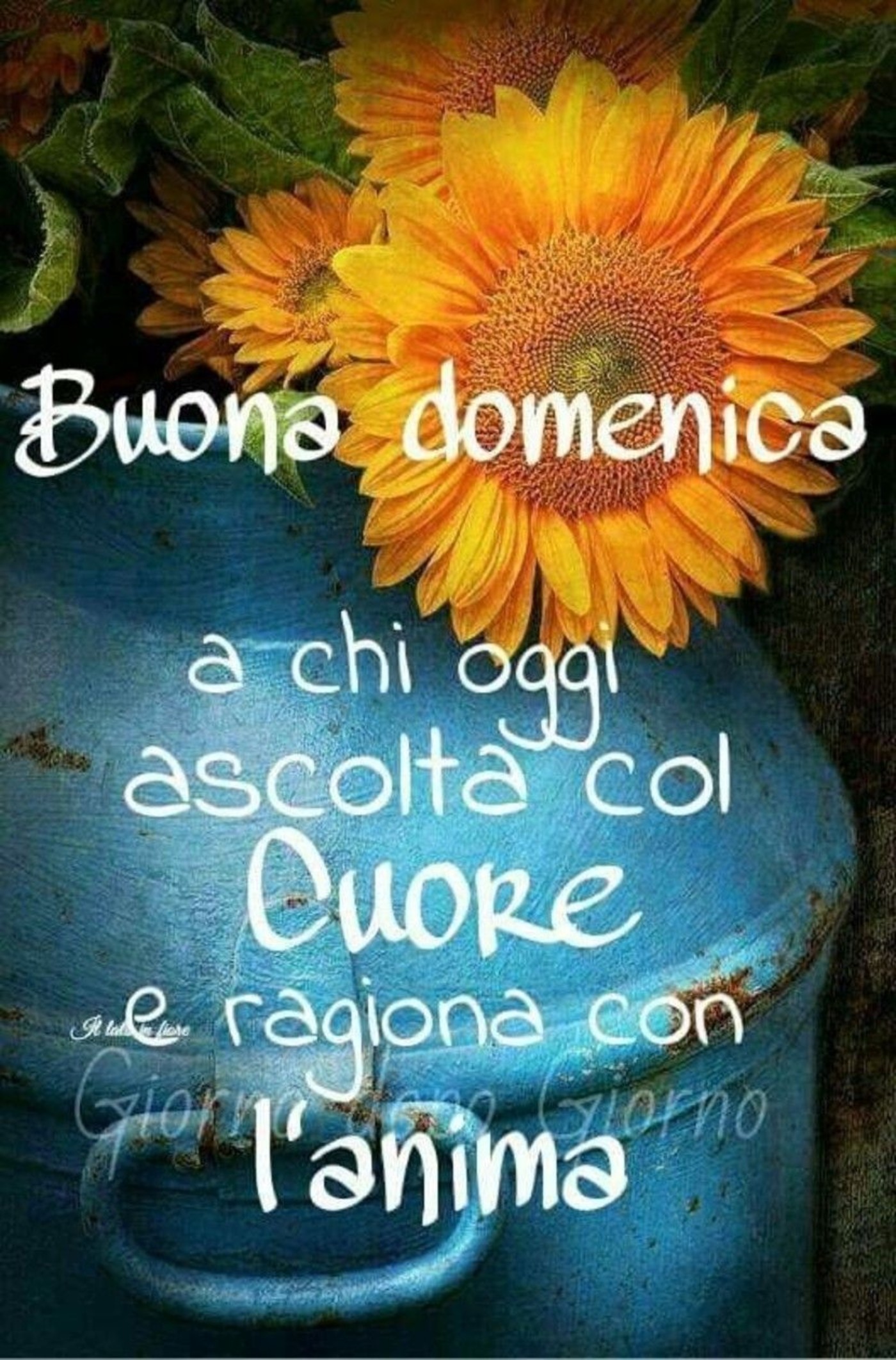 Buona domenica belle frasi (1)