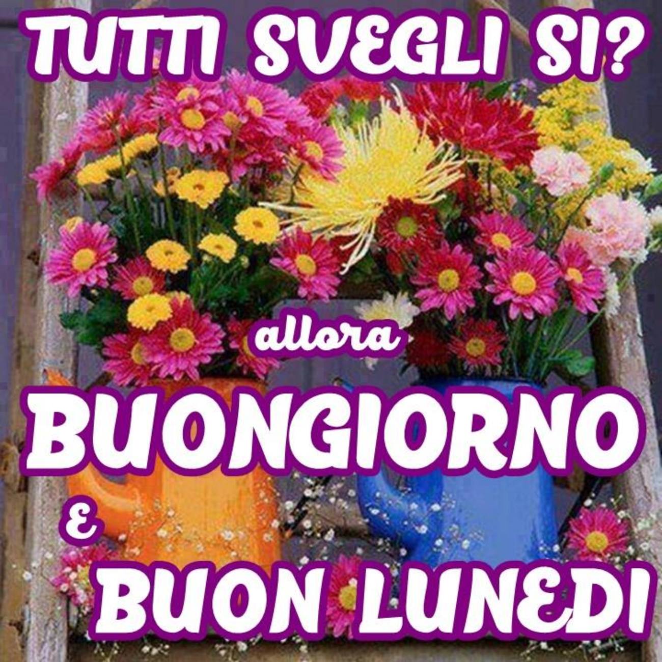 Buongiorno e buon lunedì (2) - BuongiornoATe.it