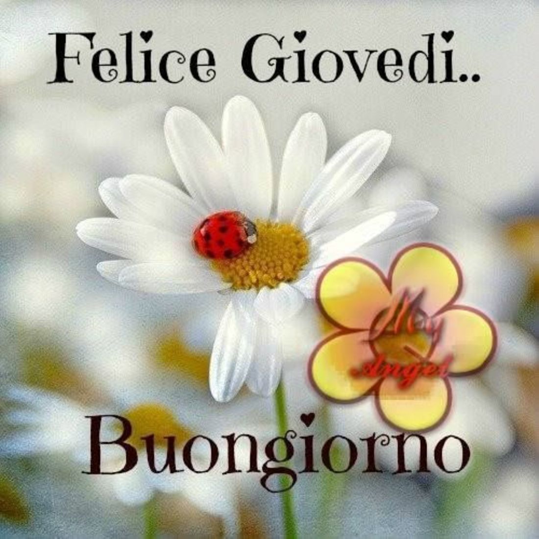 Картинки felice giovedi