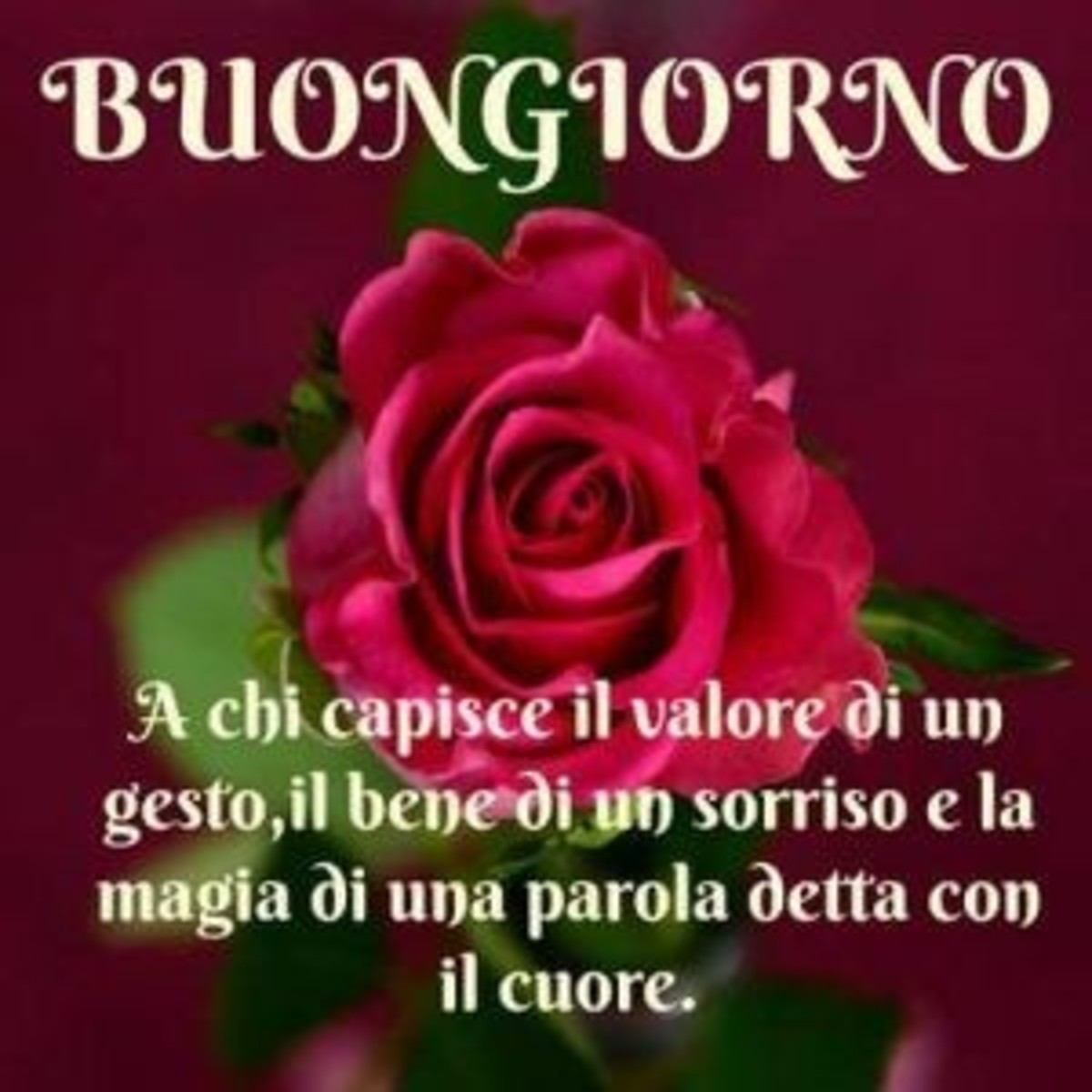 Buongiorno e buona giornata immagini (1)