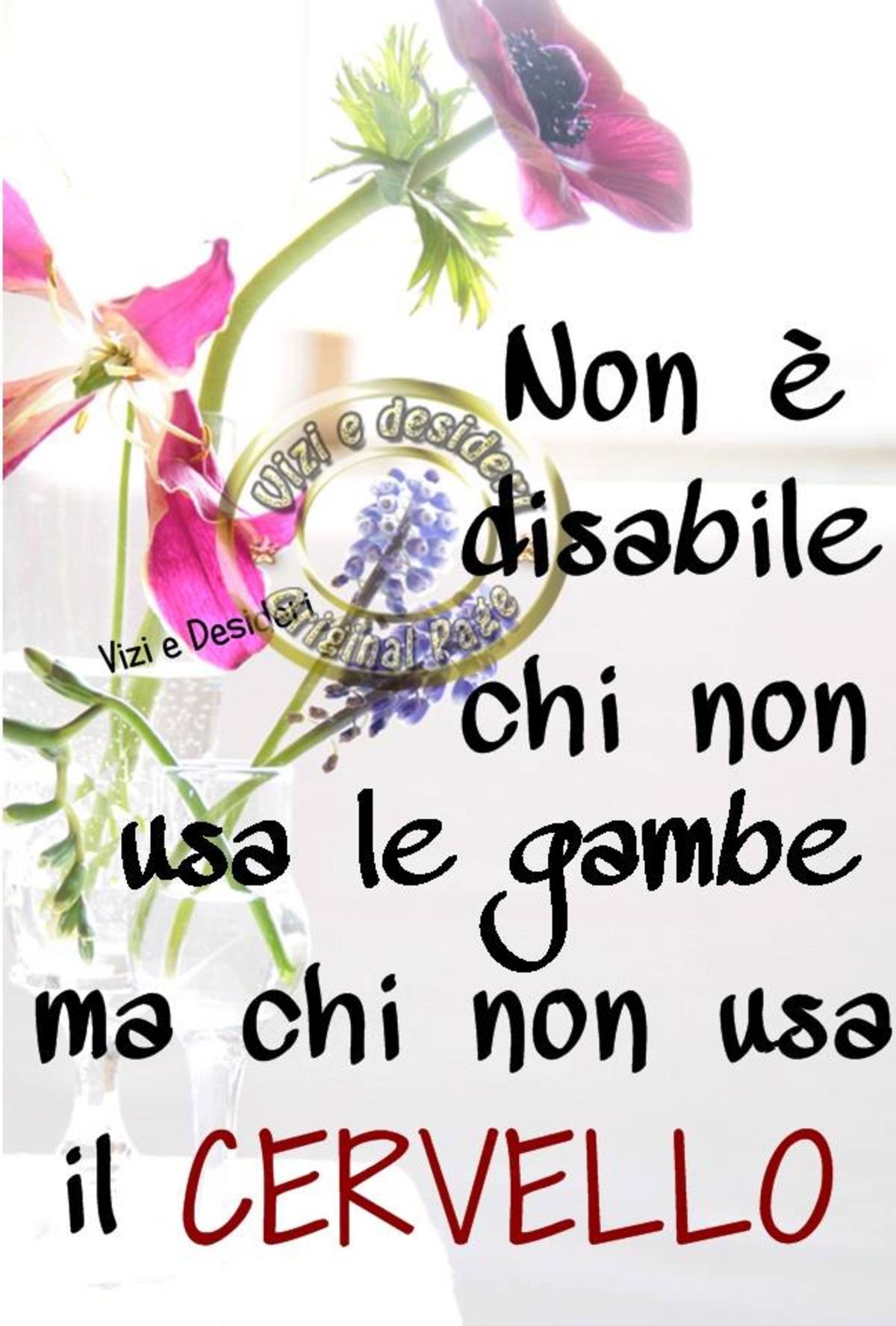 Frasi Sulla Disabilita Buongiornoate It