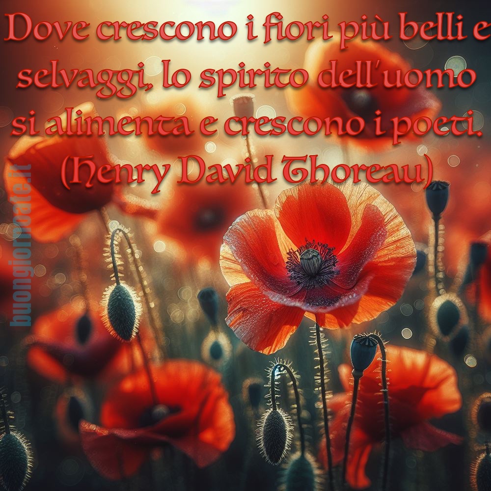 “Dove crescono i fiori più belli e selvaggi, lo spirito dell'uomo si alimenta e crescono i poeti.” -Henry David Thoreau