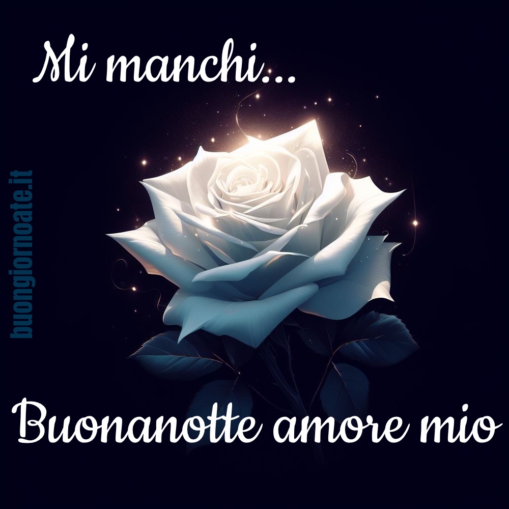 Mi manchi... Buonanotte amore mio