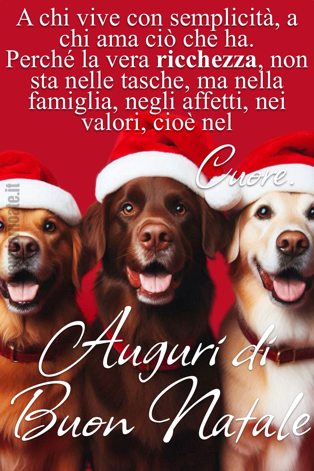 A chi vive con semplicità, a chi ama ciò che ha. Perché la vera ricchezza, non sta nelle tasche, ma nella famiglia, negli affetti, nei valori, cioè nel Cuore. Auguri di Buon Natale