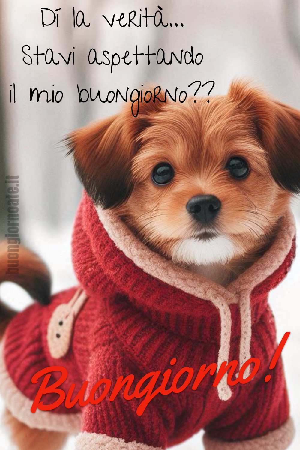 Dí la verità... Stavi aspettando il mio buongiorno?? Buongiorno!