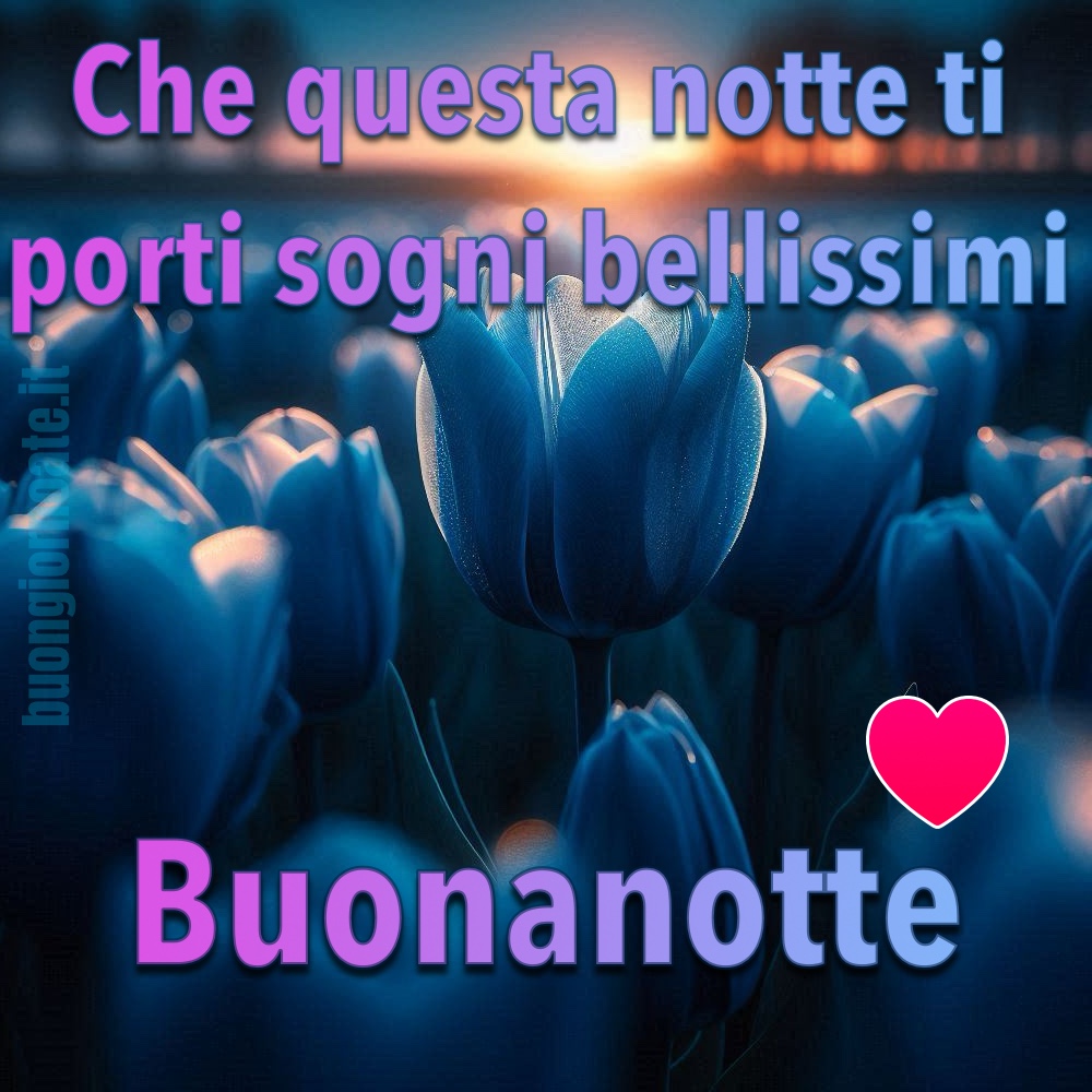 Che questa notte ti posti sogni bellissimi. Buonanotte!